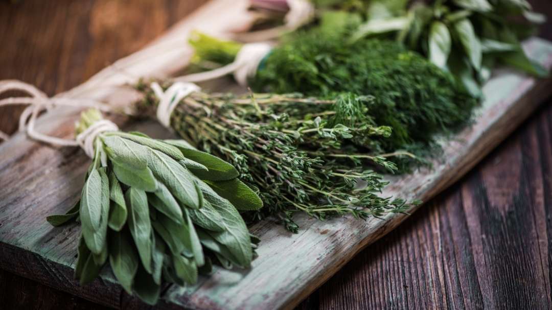 Ayurvedische Coaching- und Gesundheitstrainer-Ausbildung